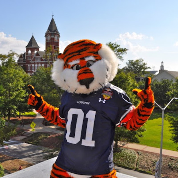 Meet your Posher, Vicki - Picture 1 of 1